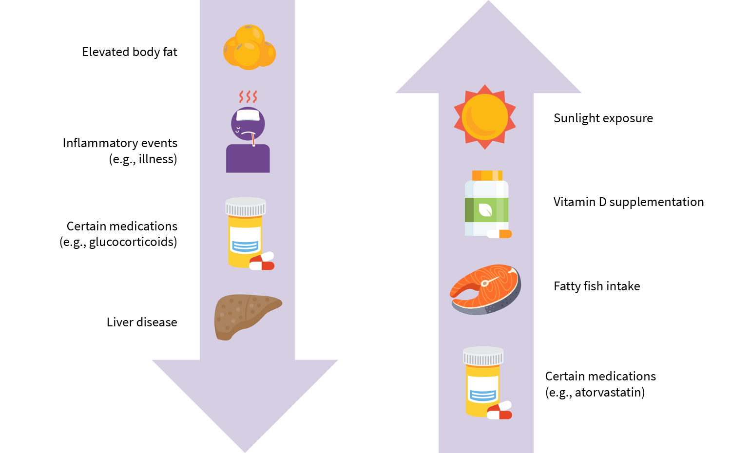 Factors that influence vitamin D levels image
