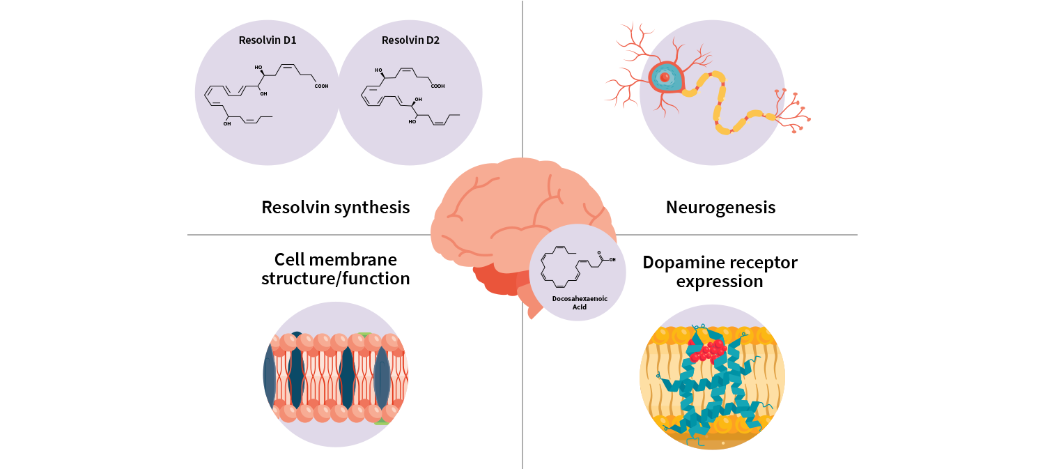 Low omega3 levels linked to gene variations are not associated with