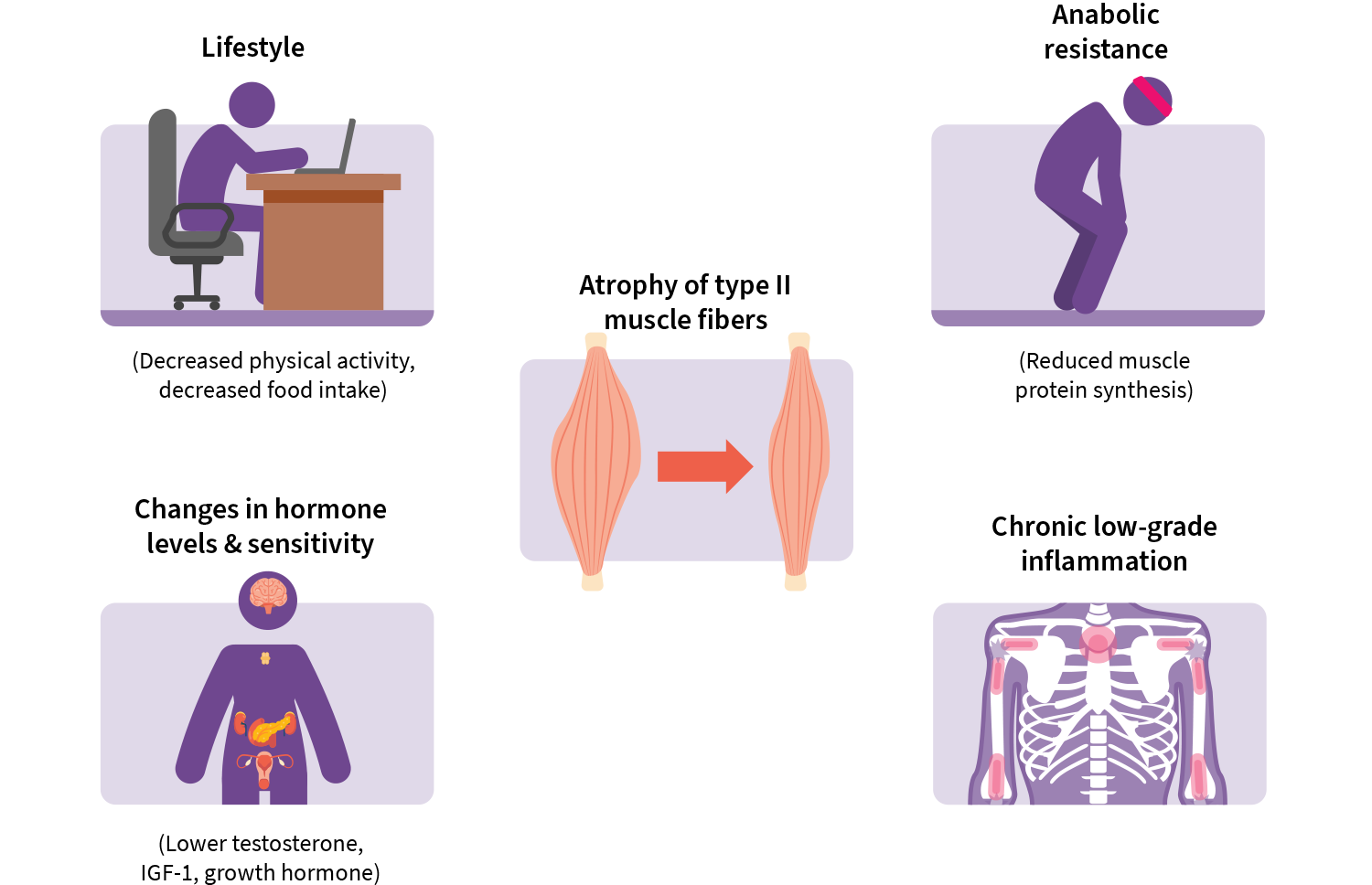 Do omega3 fatty acids further improve the benefits of a resistance