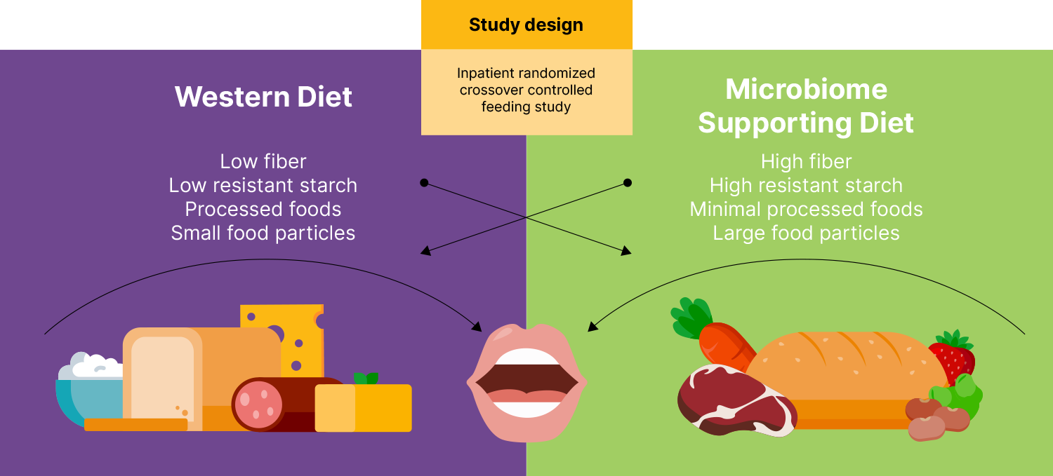 A highfiber, minimally processed diet reduces calorie absorption and